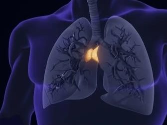 Thymus Thump for Vitality