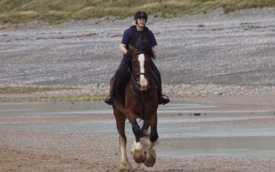 What makes your heart sing?